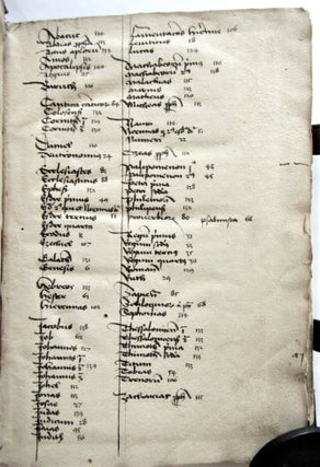 Mammotrectus super Bibliam.