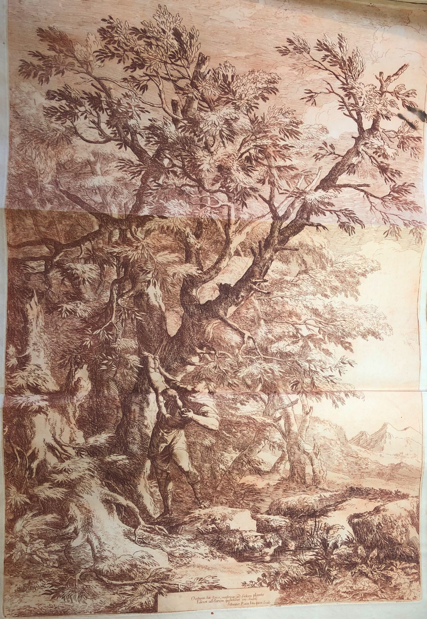 Serie di LXXXV. disegni in varie grandezze composti dal celebre pittore  Salvator Rosa publicati ed incisi da Carlo Antonini | Salvator ROSA