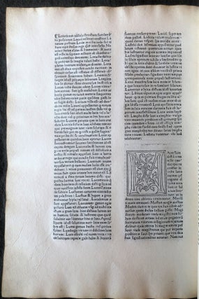 Glossae.