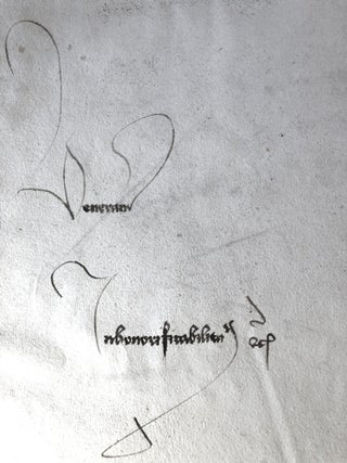 Glossae.
