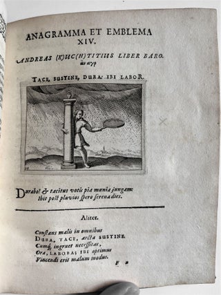 Emblemata politica in aula magna Curiae Noribergensis depicta.