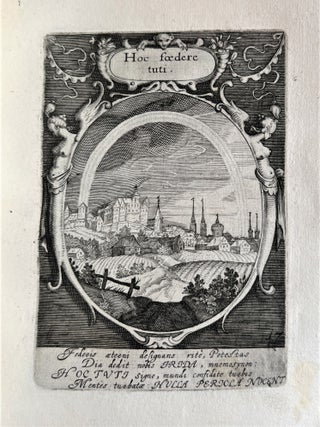 Emblemata politica in aula magna Curiae Noribergensis depicta.