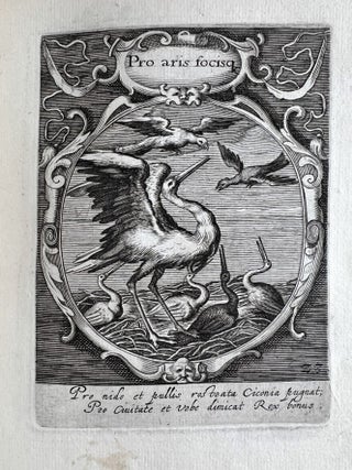 Emblemata politica in aula magna Curiae Noribergensis depicta.