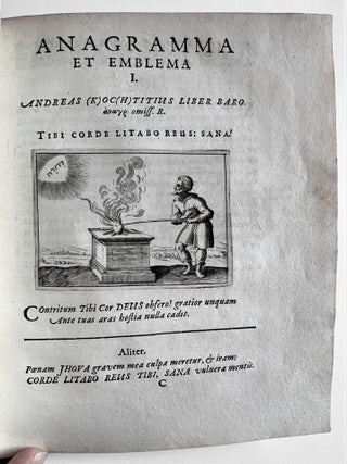 Emblemata politica in aula magna Curiae Noribergensis depicta.